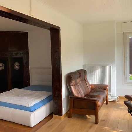 Le Grand-saconnex Guesthouse, 5 Min Walk To Airport *