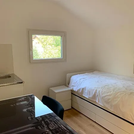 公寓式酒店 Le Grand-saconnex Guesthouse, 5 Min Walk To Airport *