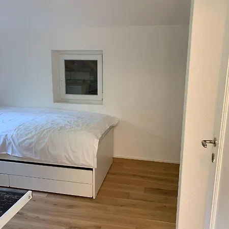 Le Grand-saconnex Guesthouse, 5 Min Walk To Airport *
