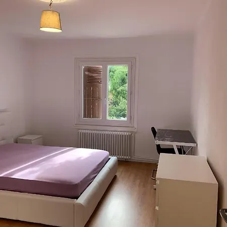 Le Grand-saconnex Guesthouse, 5 Min Walk To Airport * 日内瓦