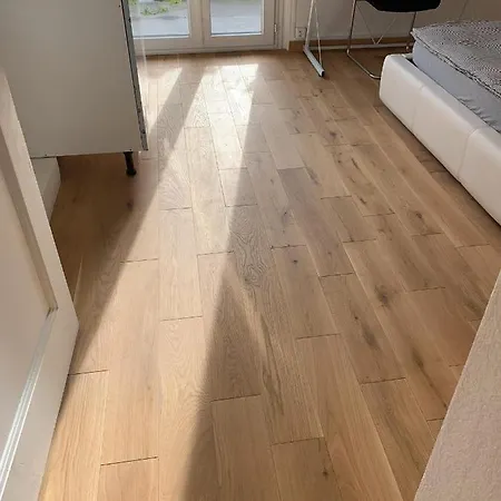 公寓式酒店 Le Grand-saconnex Guesthouse, 5 Min Walk To Airport