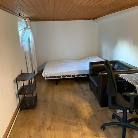 Le Grand-saconnex Guesthouse, 5 Min Walk To Airport 日内瓦