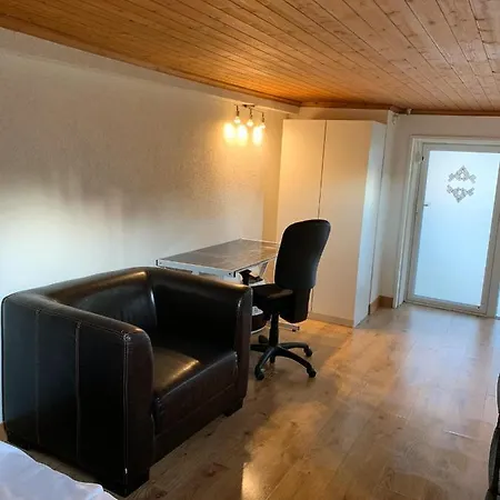 Le Grand-saconnex Guesthouse, 5 Min Walk To Airport 公寓式酒店 日内瓦